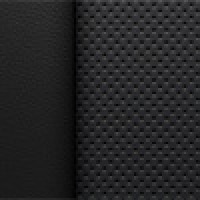 color negro interior